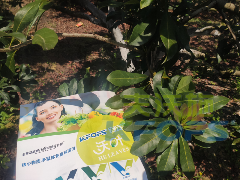 進(jìn)口水溶肥的用戶為什么比國(guó)產(chǎn)水溶肥多？