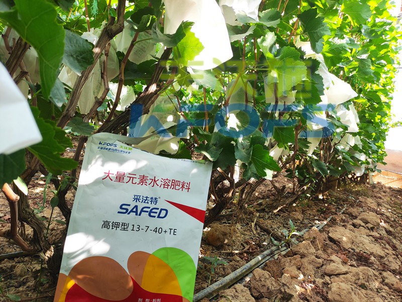 水溶肥品牌選它，就對(duì)了