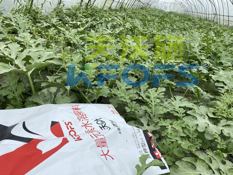 沃葉水溶肥怎么樣？這么多種植戶選擇