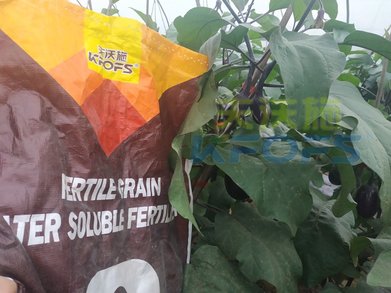 水溶肥廠家那么多，如何判斷值不值得信賴