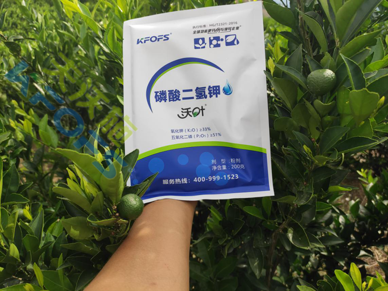 葉面肥哪家好？使用后有什么不一樣？