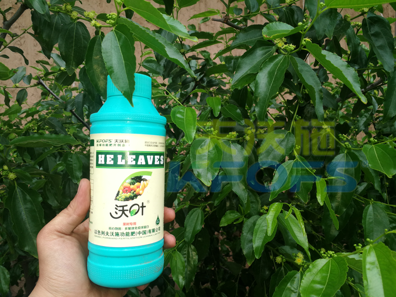 葉面肥哪家好？真實(shí)案例告訴你