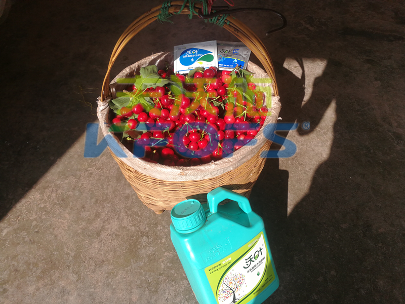 水溶肥哪家好？看看果農(nóng)們認(rèn)可的水溶肥品牌