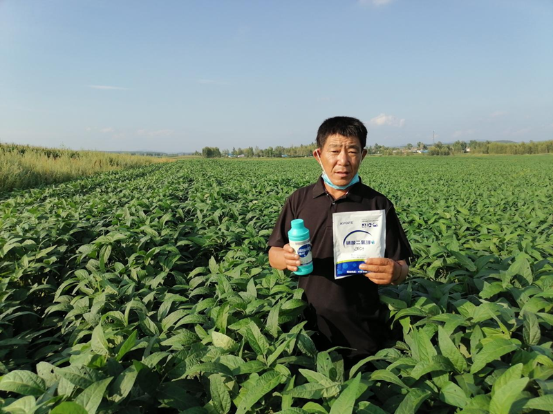 大豆噴什么葉面肥好？看這一篇就夠了！