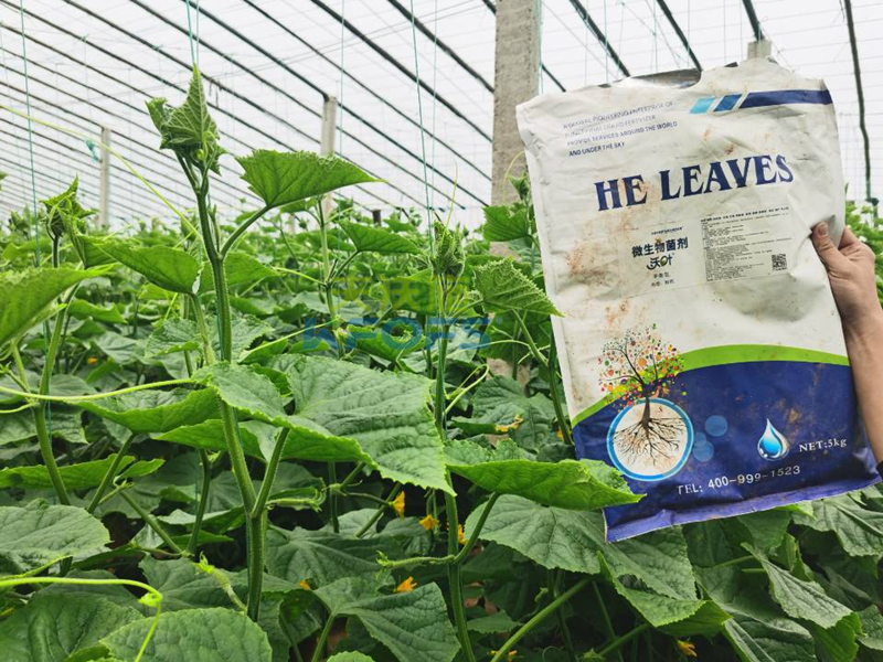 微生物菌劑哪個(gè)牌子好？莊總只認(rèn)可這款！