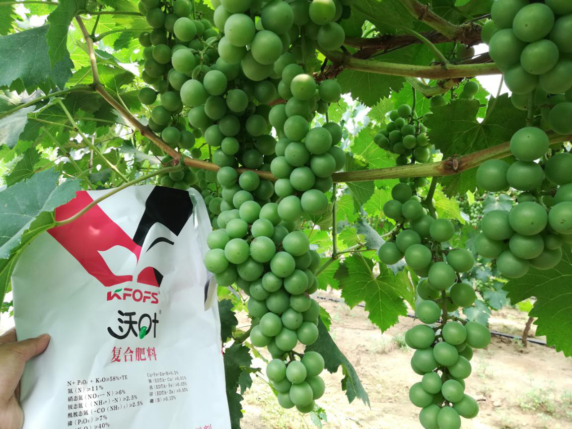 水溶肥哪家好？如何選擇