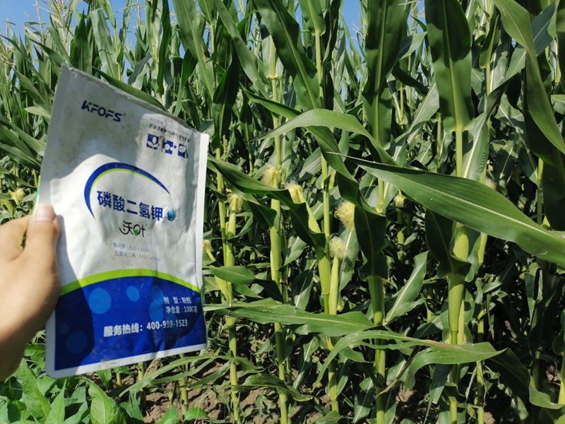 磷酸二氫鉀的用途，對(duì)作物有哪些好處