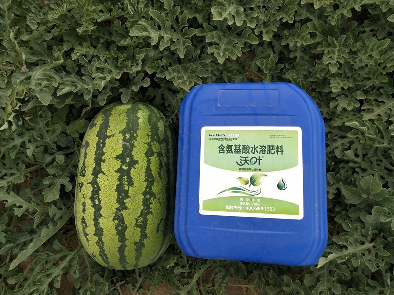 水溶肥使用注意事項(xiàng)，你了解多少