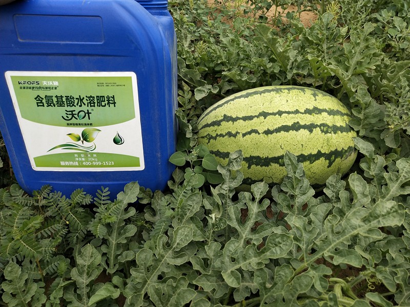 教你挑選一款有核心競(jìng)爭(zhēng)力的水溶肥品牌！