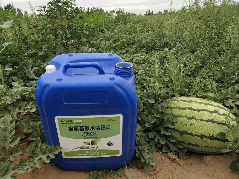 水溶肥品牌中，沃葉口碑人人稱贊！