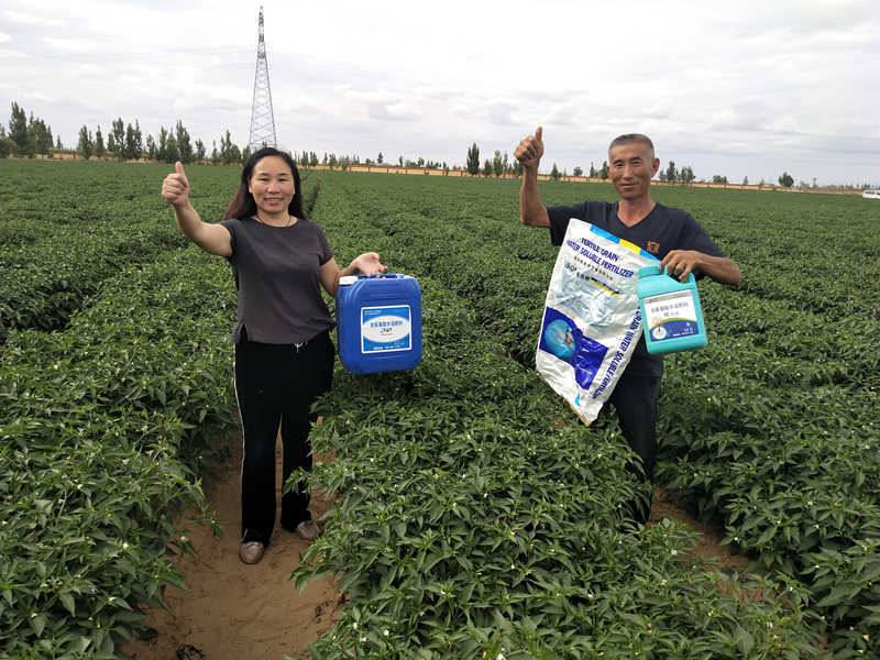 水溶肥這樣用，效果翻倍！