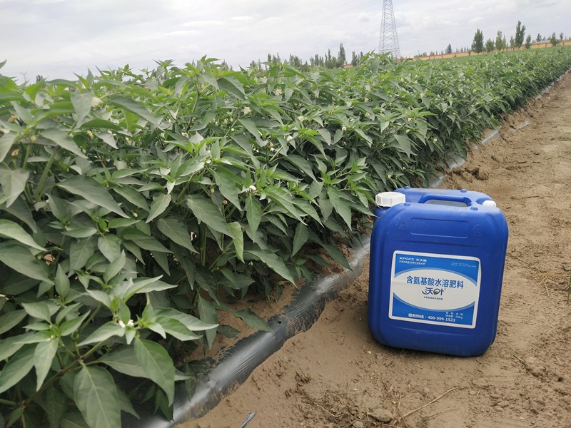 使用進口水溶肥有哪些注意事項