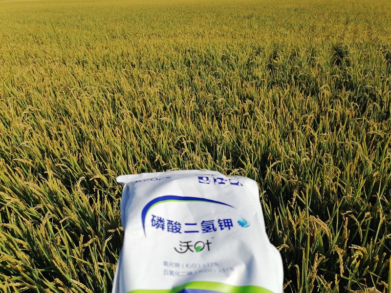 三分鐘看懂磷酸二氫鉀哪個(gè)品牌好！