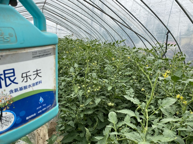 生根肥選它，生根壯苗更省心