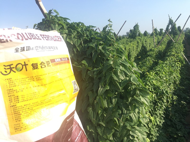 水溶肥廠家中，根據(jù)“賣點(diǎn)”選肥料