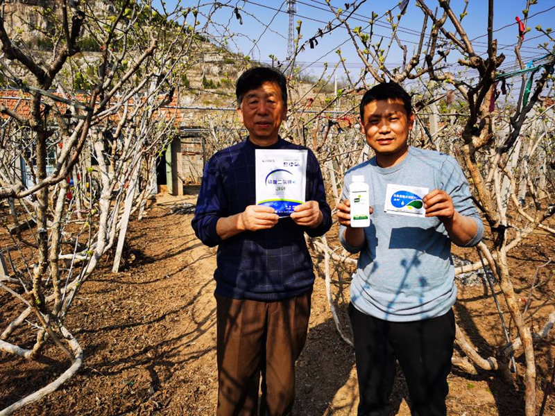 作物凍害怎么辦？如何預(yù)防？