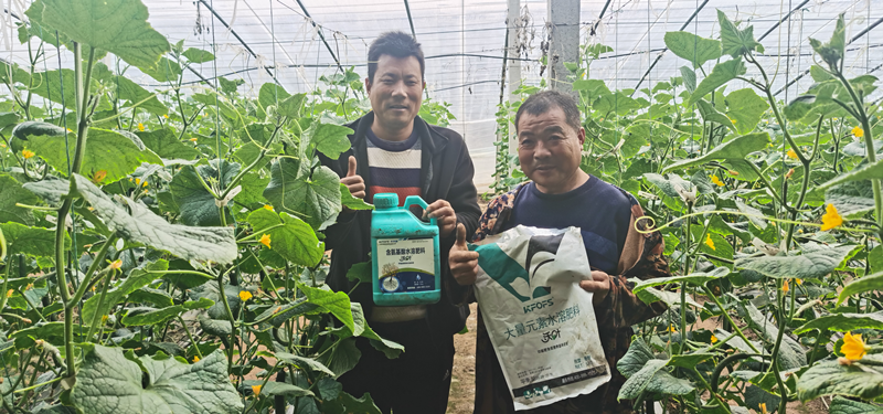 水溶肥為什么要選擇正規(guī)廠家？周總的教訓(xùn)！