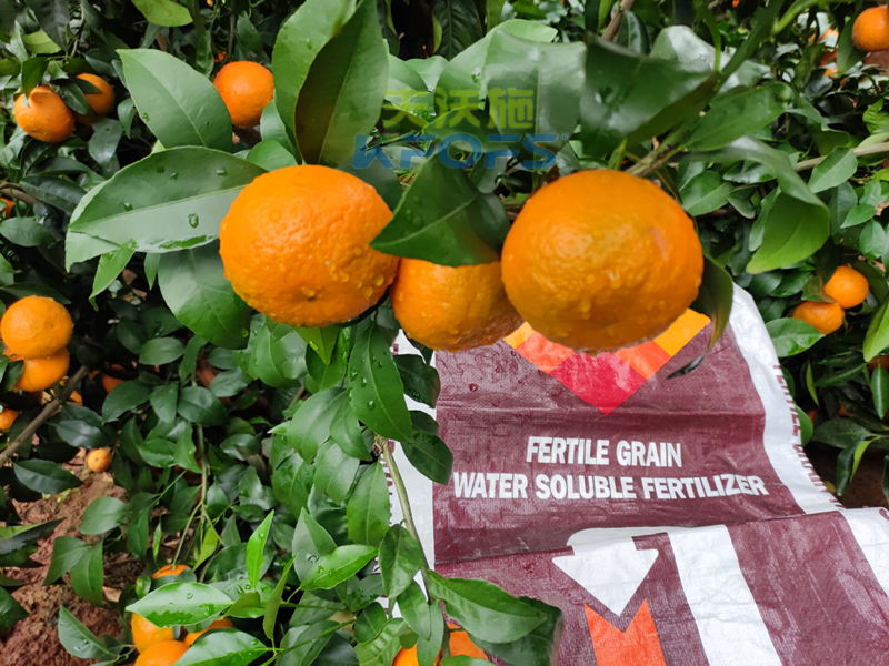 進(jìn)口水溶肥到底怎么樣？郭老板告訴你這些