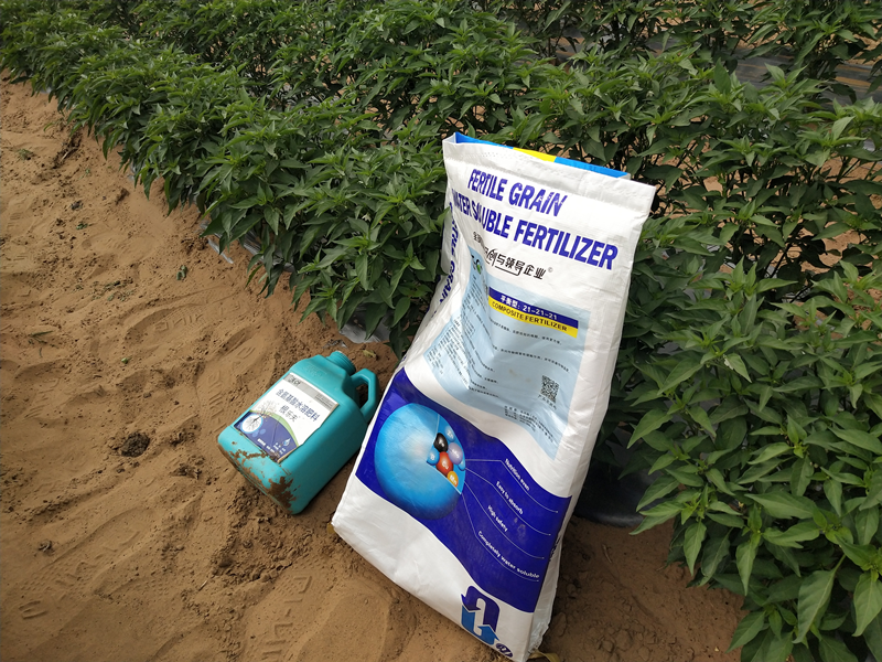 顆粒水溶肥哪個(gè)牌子好？趙哥推薦沃葉