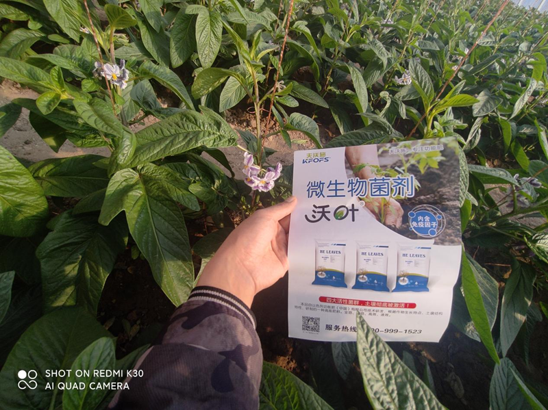 水溶肥廠家怎么挑選？張老板告訴你實(shí)情