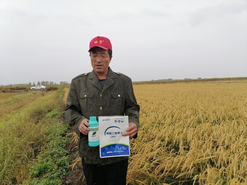 磷酸二氫鉀-水稻用沃葉磷酸二氫鉀效果.jpg