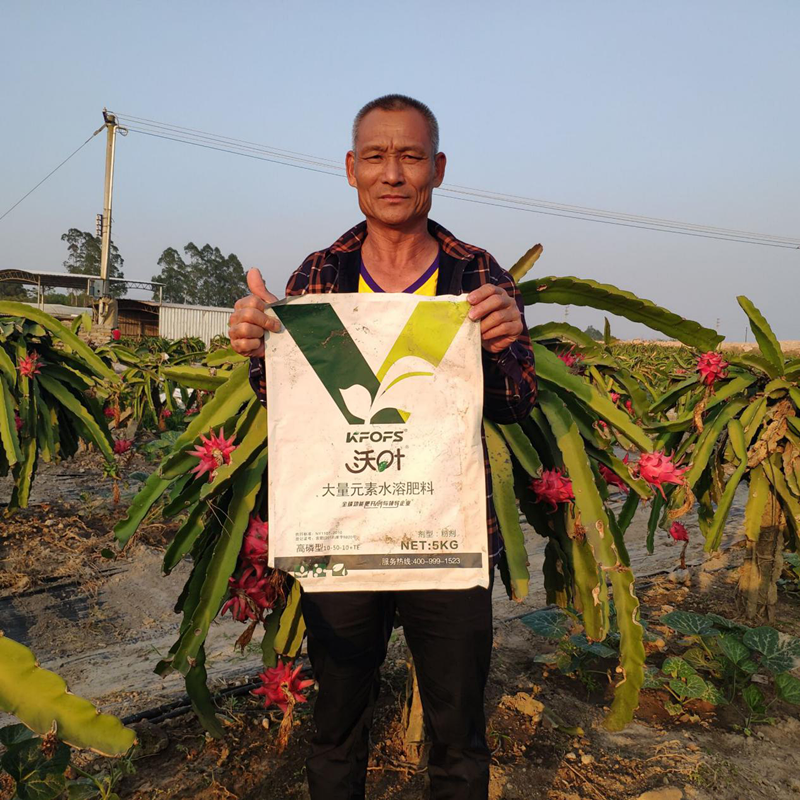 水溶肥-火龍果用沃葉大量元素水溶肥效果.png