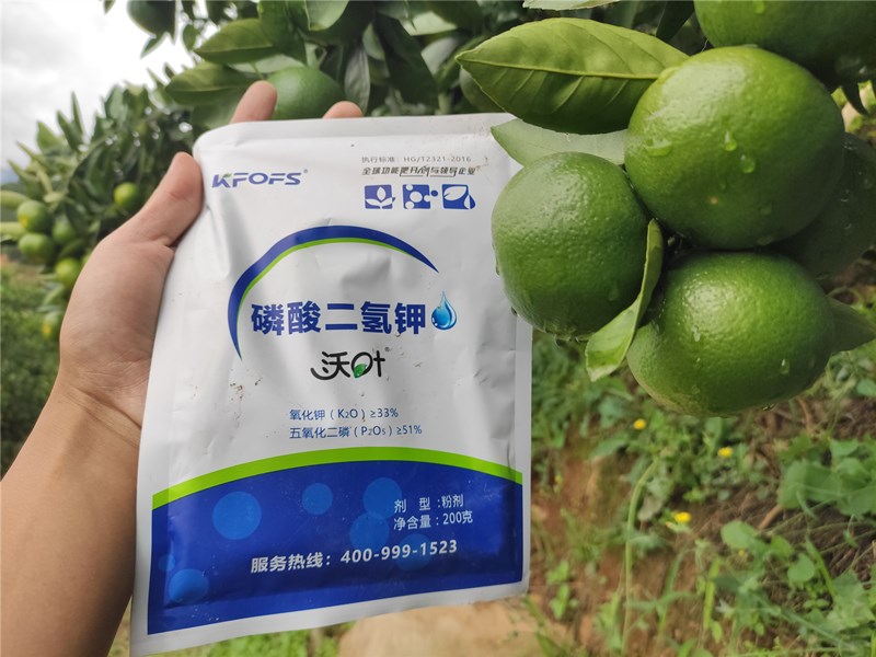 磷酸二氫鉀-柑橘用沃葉磷酸二氫鉀效果.jpg