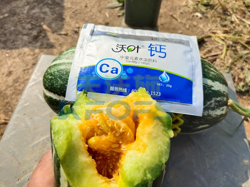 種甜瓜用什么肥料好-鈣肥_副本.png