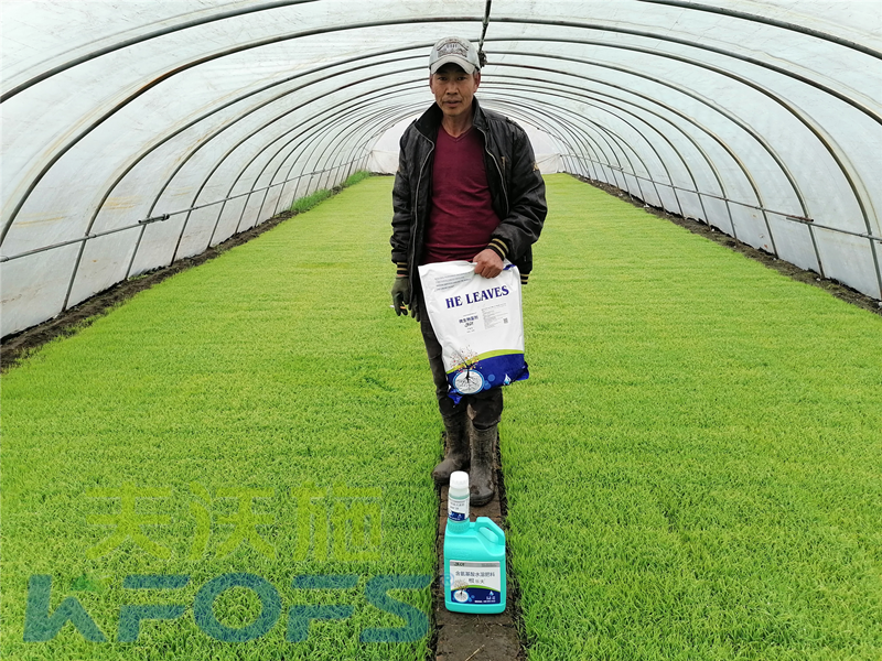 土壤板結(jié)用什么肥料好？技術(shù)老師說全了！