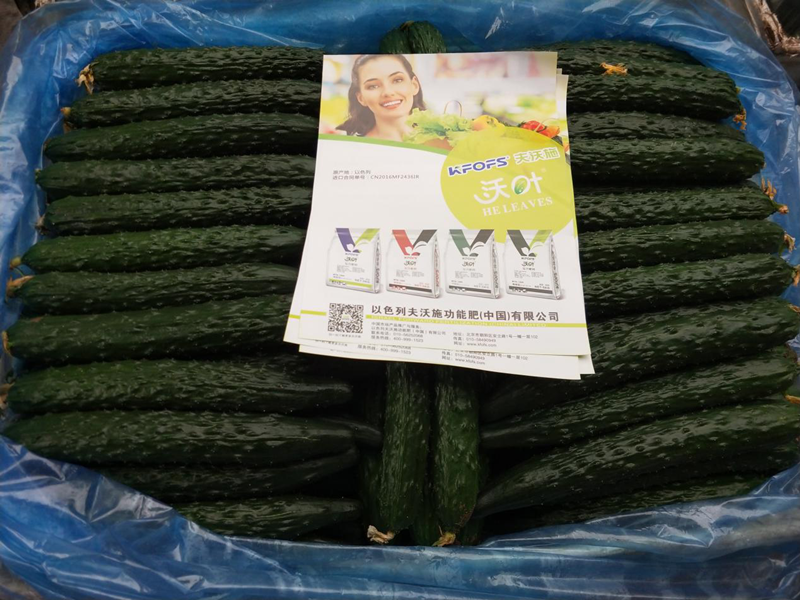 磷肥的作用！