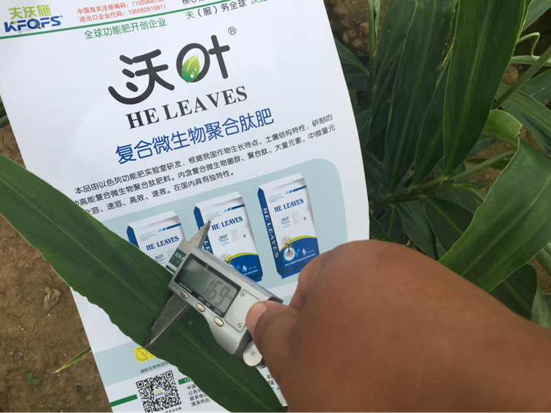 都說微生物菌劑好，到底有啥用