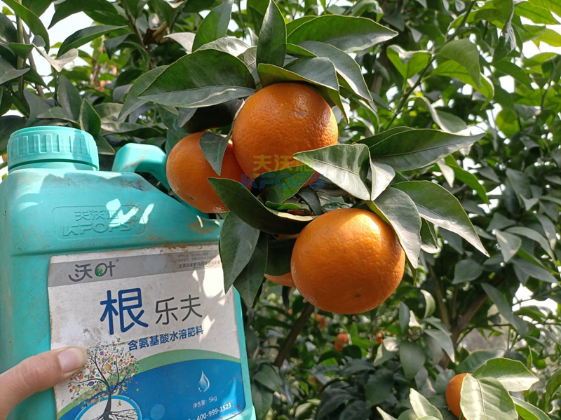 果樹(shù)春季施肥最佳時(shí)間，要把握?。? title=