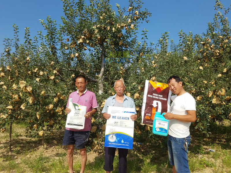 什么樣的水溶肥安全可信賴(lài)？