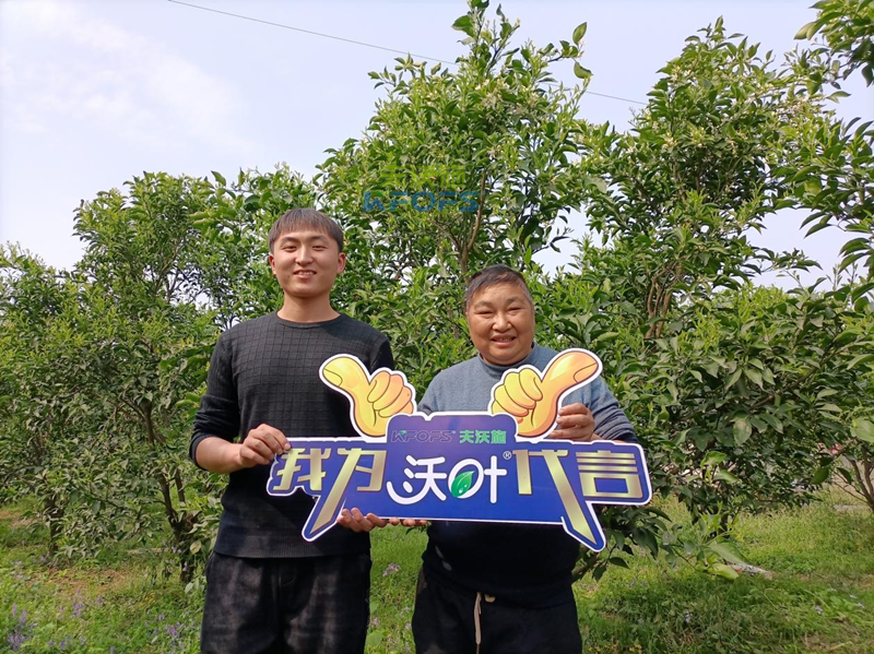 水溶肥廠家哪家好？張總認準夫沃施！