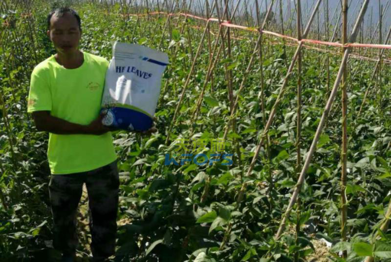 豆角沖施肥怎么用？