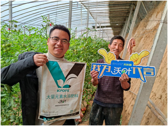 水溶肥哪一個廠的好-夫沃施沃葉用戶見證 (1).png