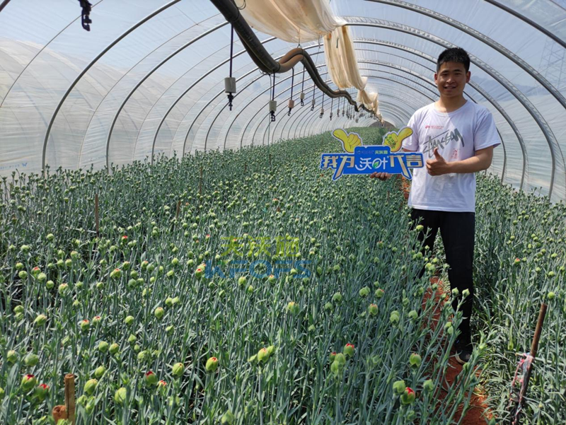 進口水溶肥怎么選？王總的答案！