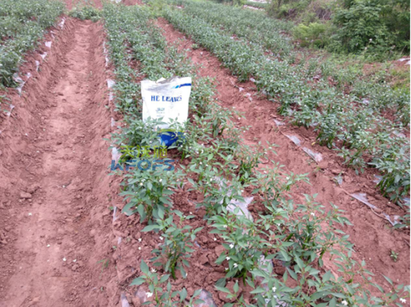 菌肥正確使用方法？