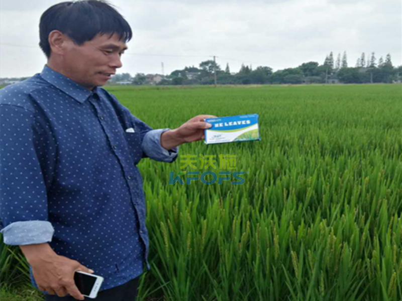 進口葉面肥vs國產葉面肥