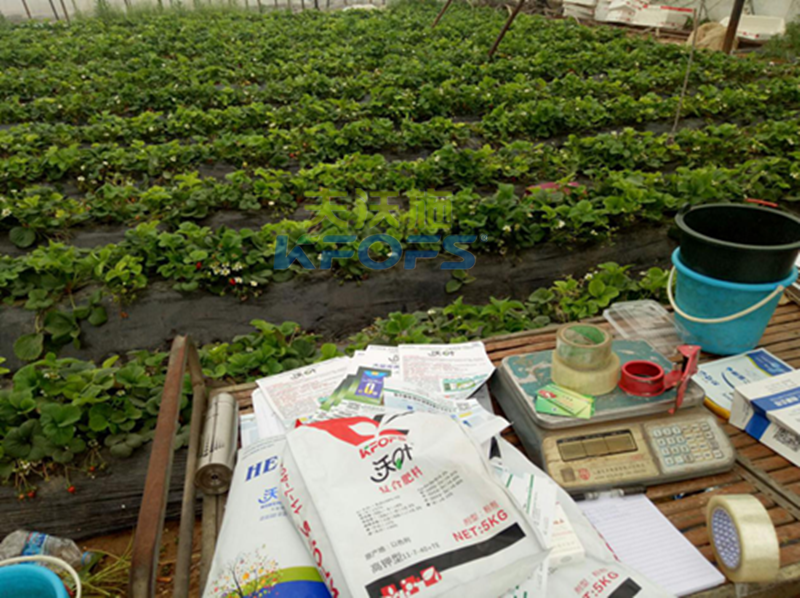 復(fù)合肥怎么使用？