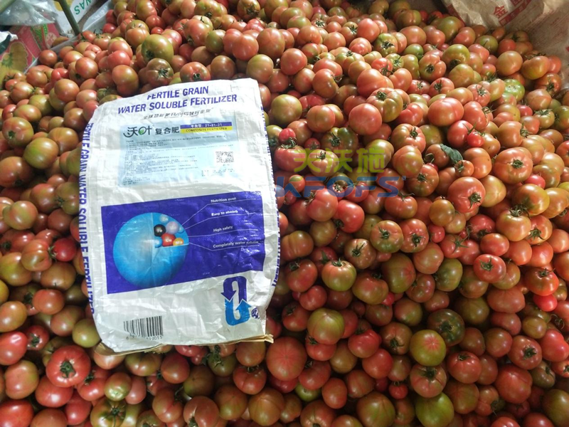 顆粒水溶肥，張總為何選夫沃施？