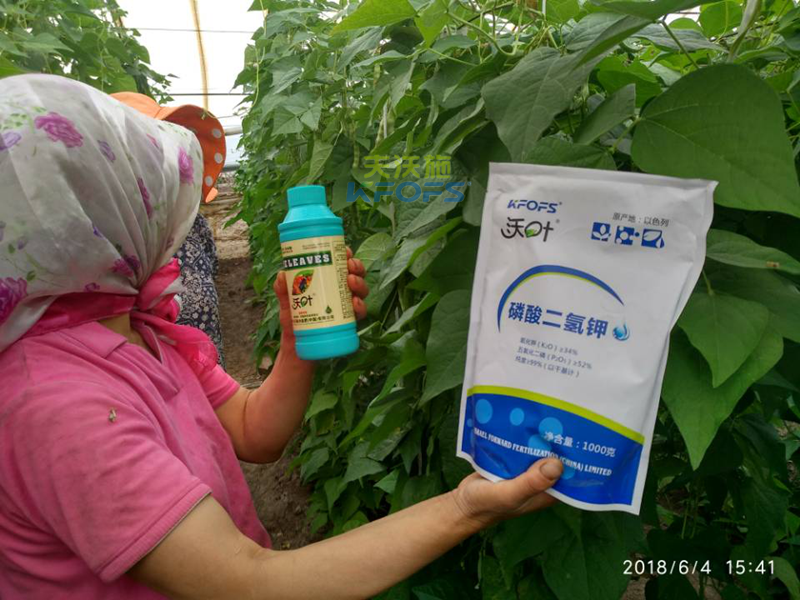 豆角需要什么樣的沖施肥？