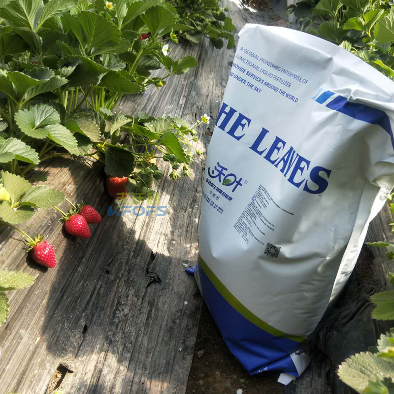 草莓用什么肥料比較好？1.png