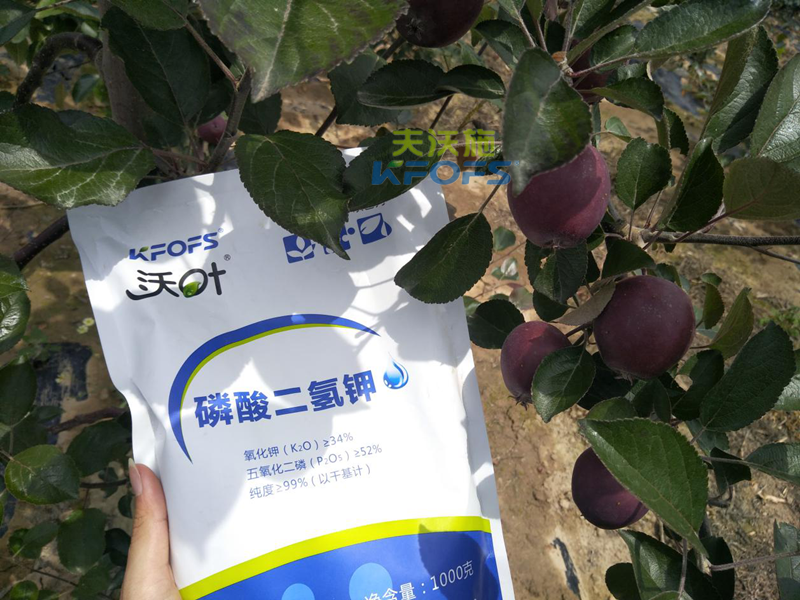 蘋(píng)果怎么施肥？1.png