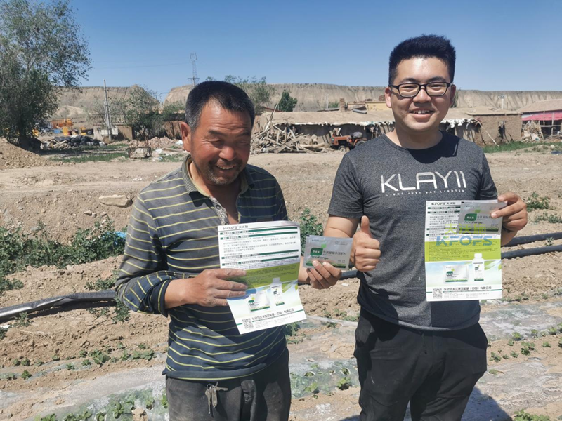 棉花高產(chǎn)施肥的種植技術(shù)，實(shí)地經(jīng)驗(yàn)總結(jié)