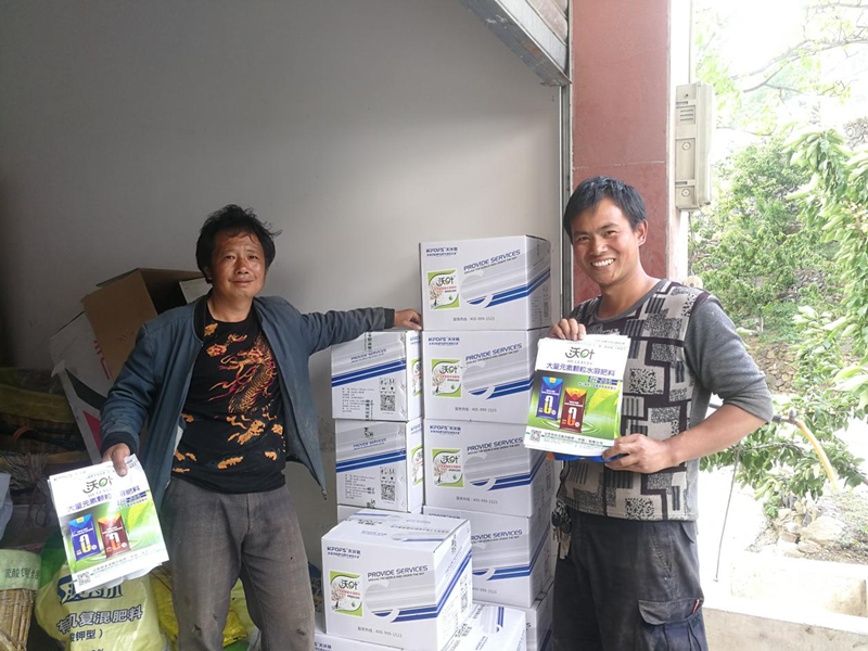 櫻桃采摘后施什么肥料好？附月子肥方案