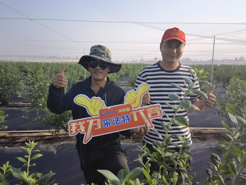 藍(lán)莓用什么水溶肥長(zhǎng)得好？