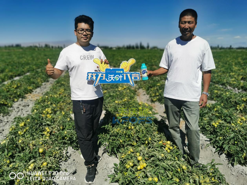 水溶肥選哪家，張總來(lái)為你解答