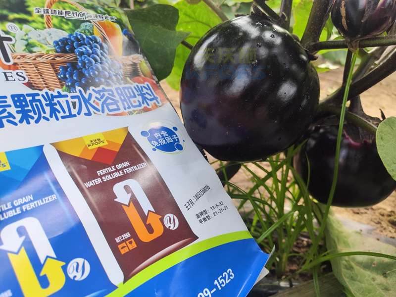 茄子施什么肥長得好-沃葉顆粒水溶肥.png