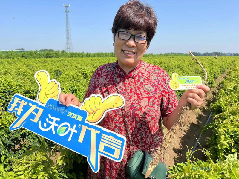 改良土壤肥料有哪些？夫沃施功能肥